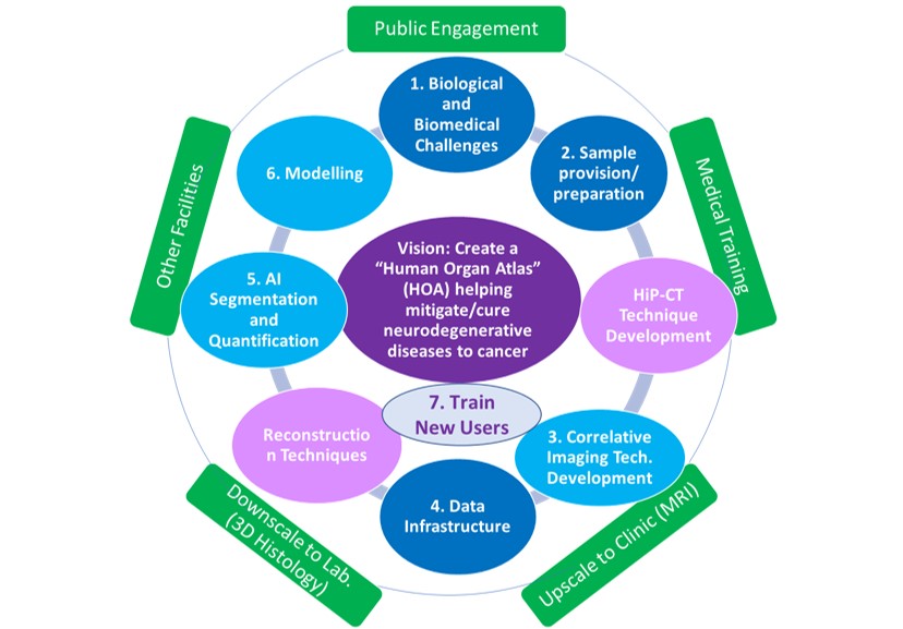 HOAHub working groups